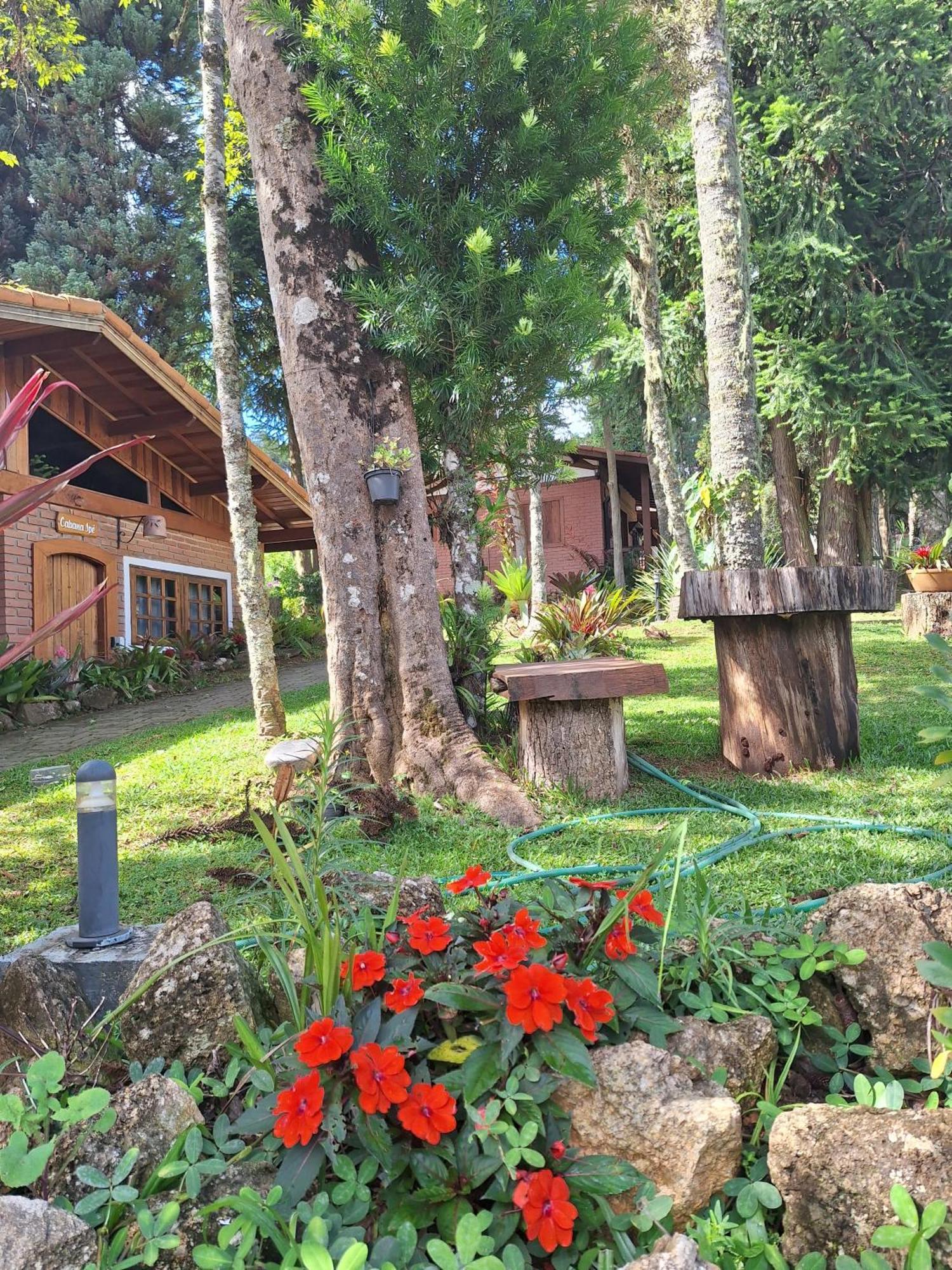 Chales Anecuem Monte Verde  Dış mekan fotoğraf